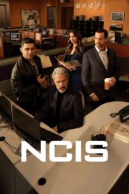 NCIS: Season 22